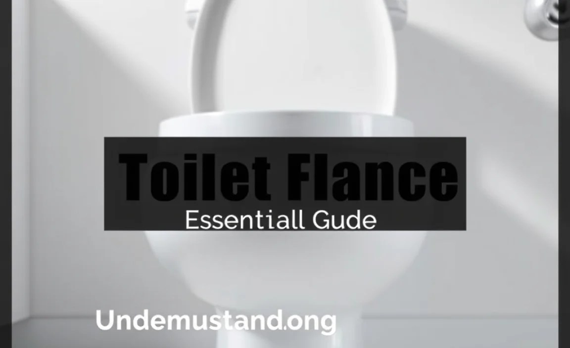 Understanding Flange Types and Styles