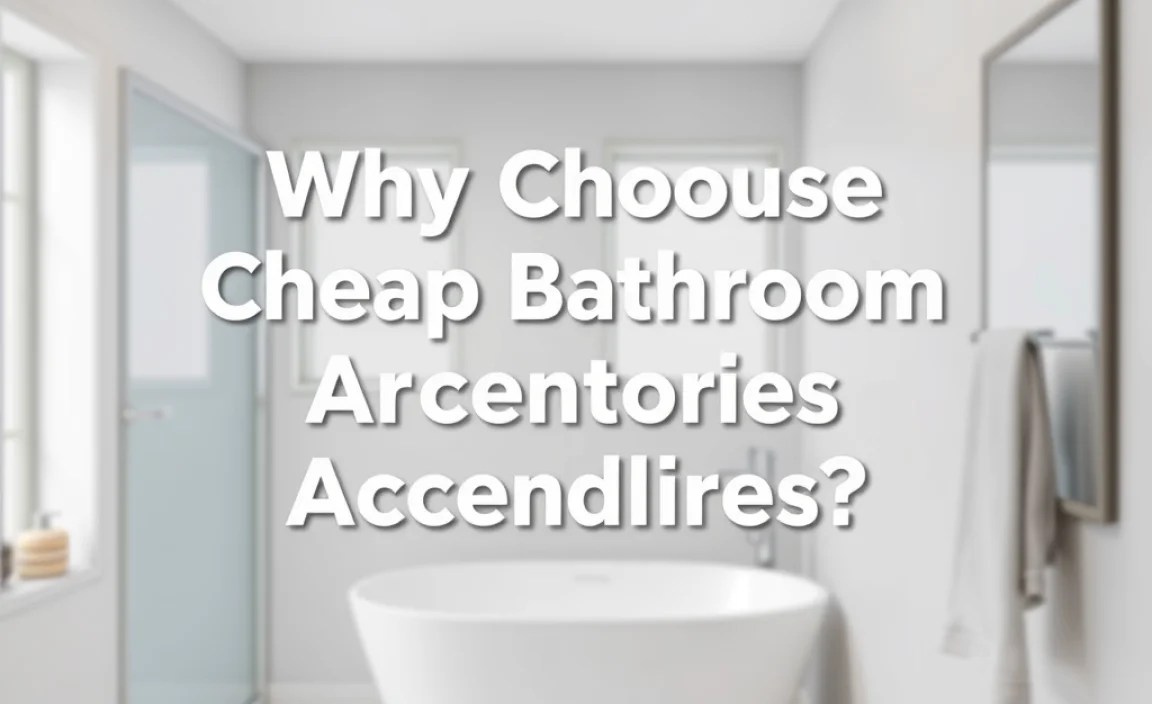 Why Choose Cheap Bathroom Accessories?