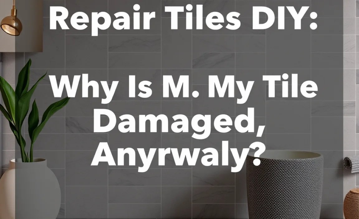Why Is My Tile Damaged, Anyway?