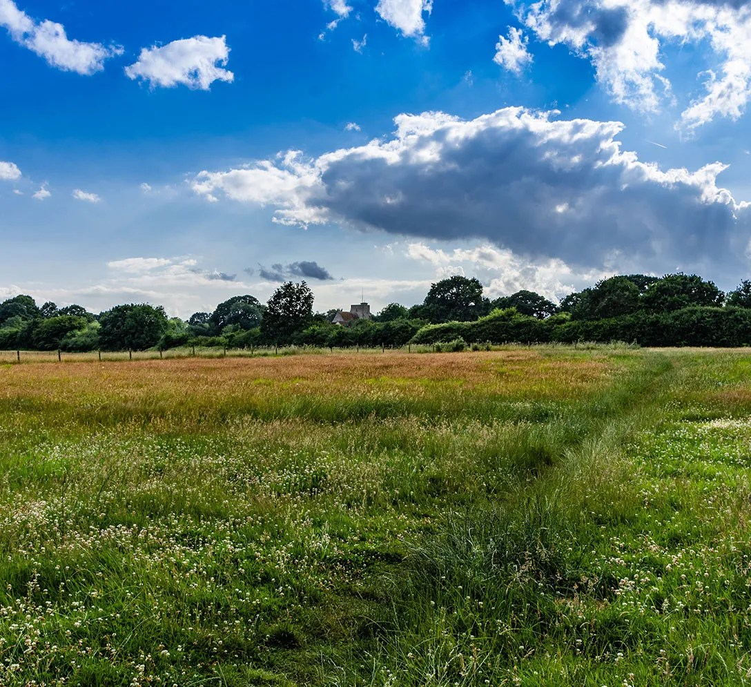 Land Preservation Is A Critical Public Necessity In New Jersey