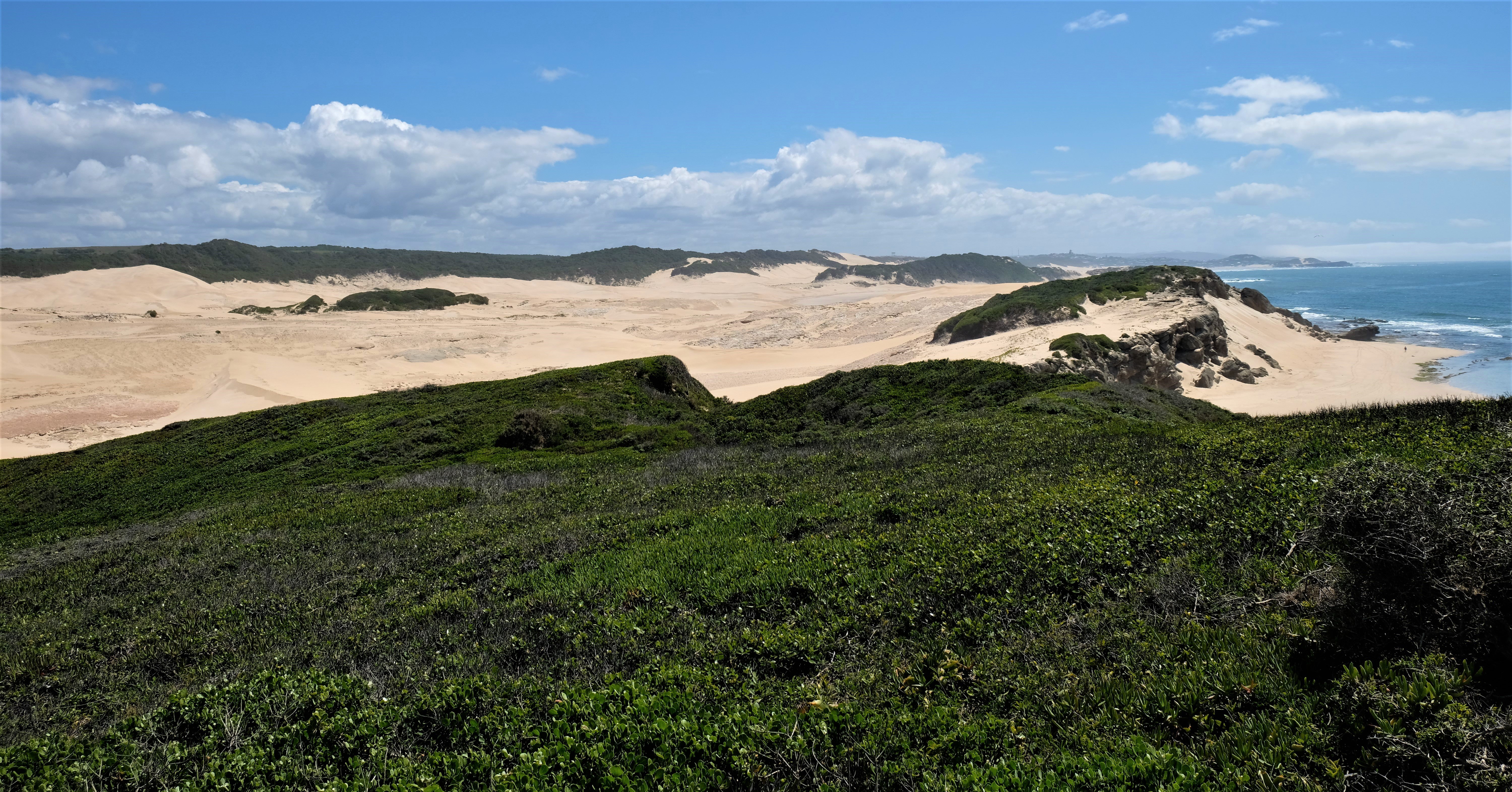 KentononSea/Bushmans, Eastern Cape Batnomad