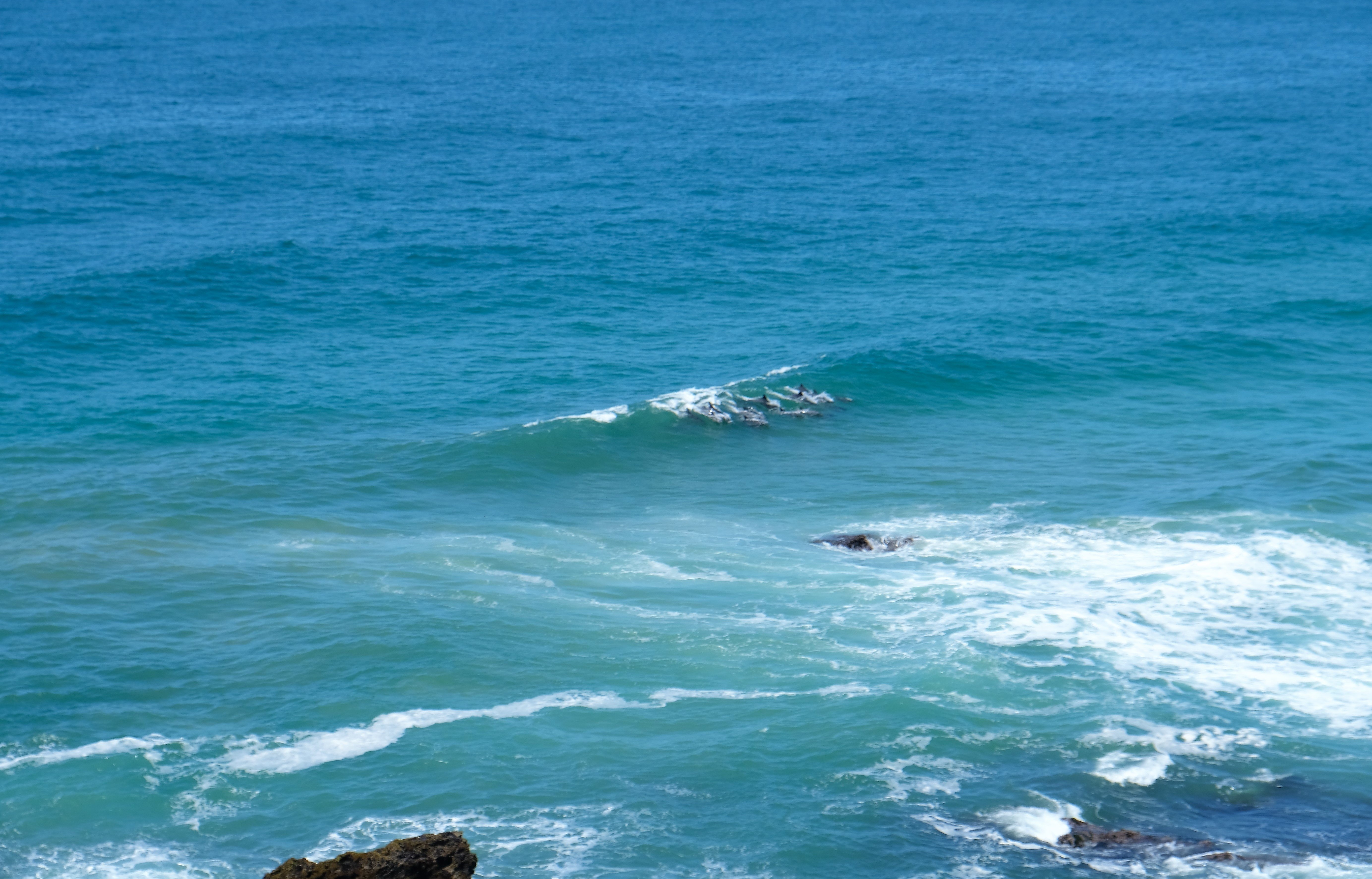 KentononSea/Bushmans, Eastern Cape Batnomad