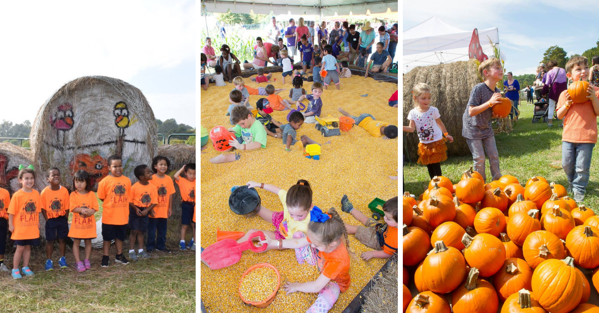 2018 Baton Rouge Pumpkin Patch & Corn Maze Guide Baton Rouge & Beyond!