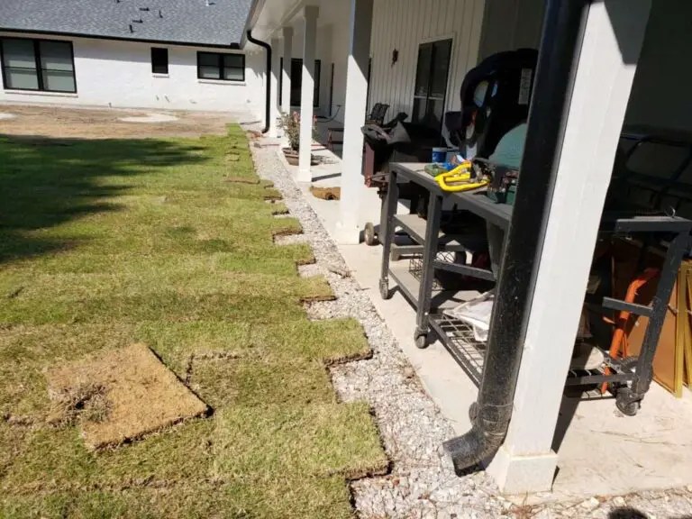 Can You Lay Sod Over Existing Grass