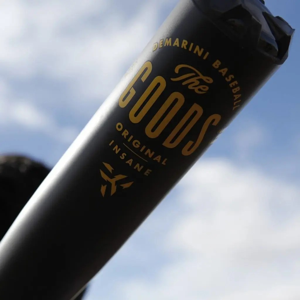 Best BBCOR Bats 2021 Reviews [+ 2020 Bat Awards
