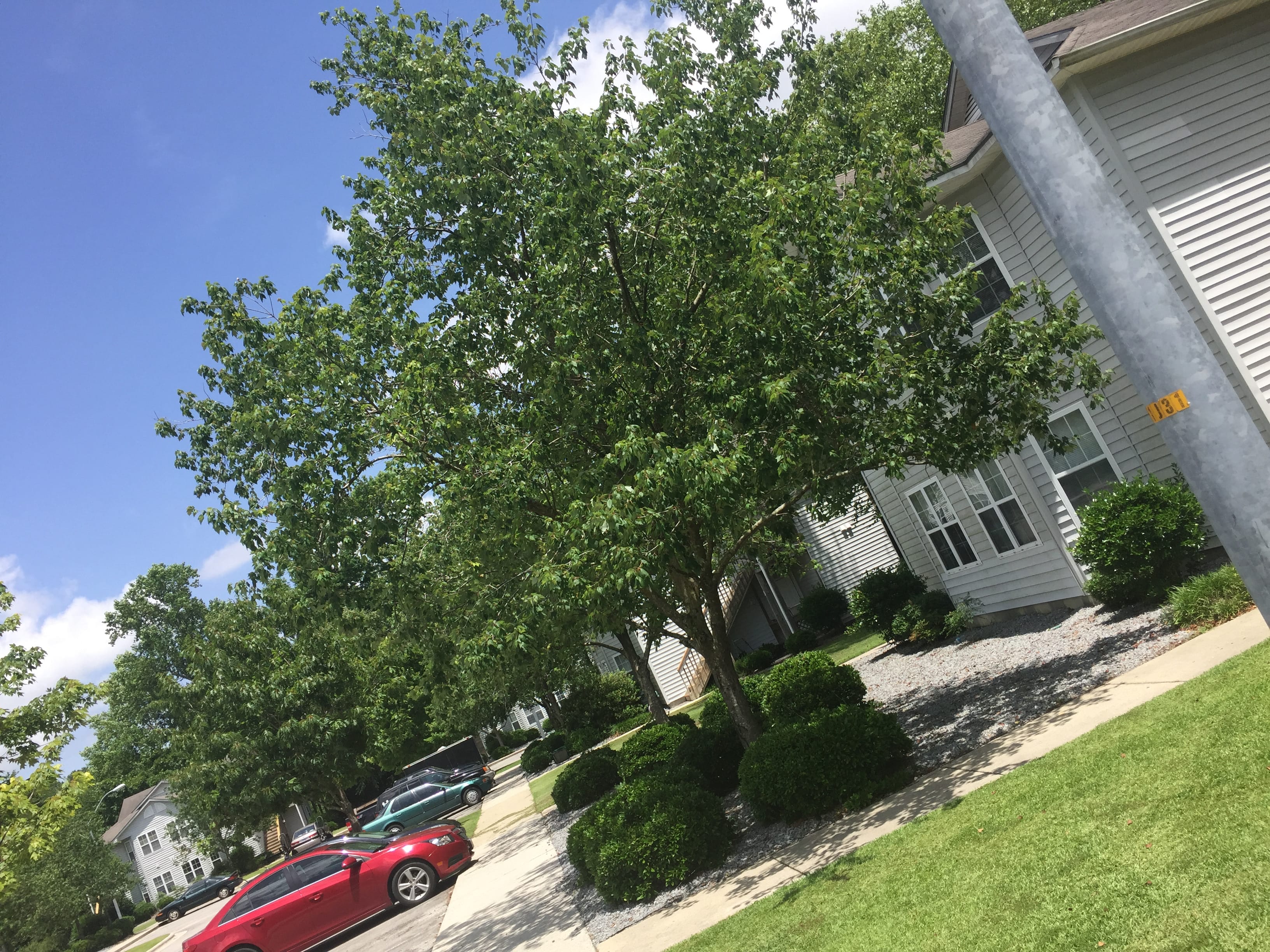 Carolina Woods Batten Realty and Management