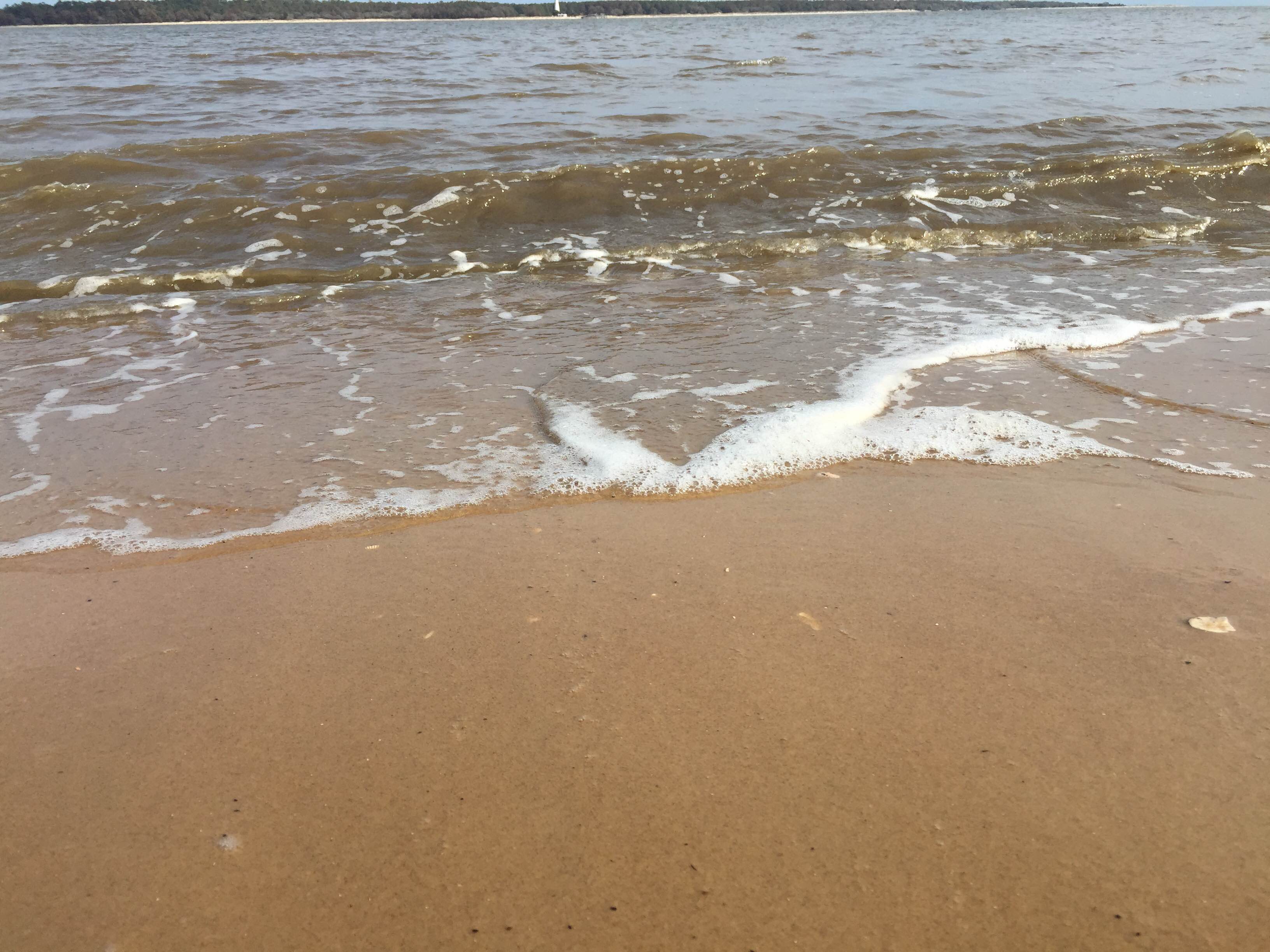 Wildlife CDE 2017 Battery Creek FFA