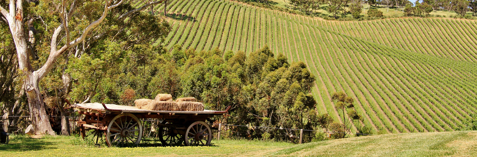 Battunga Country Adelaide Hills