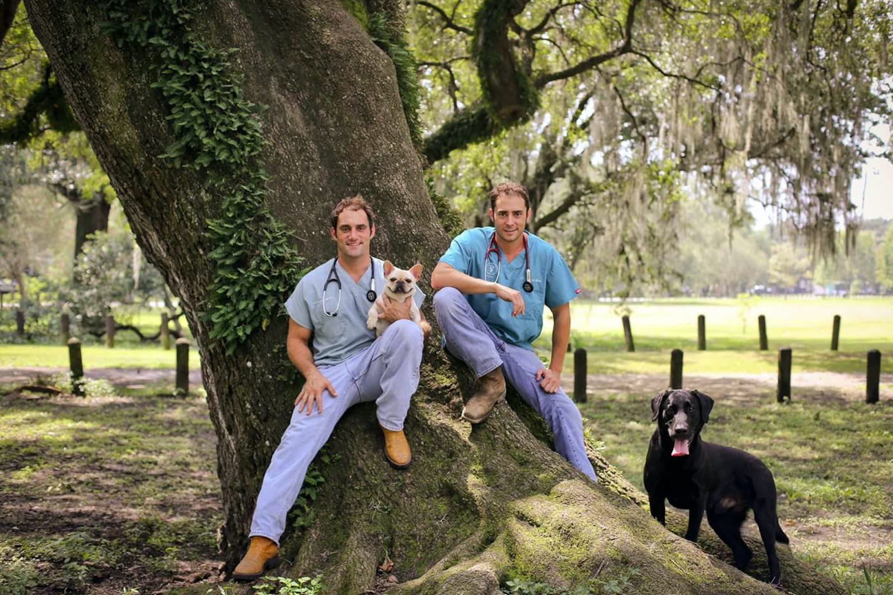 Batt Veterinary Services