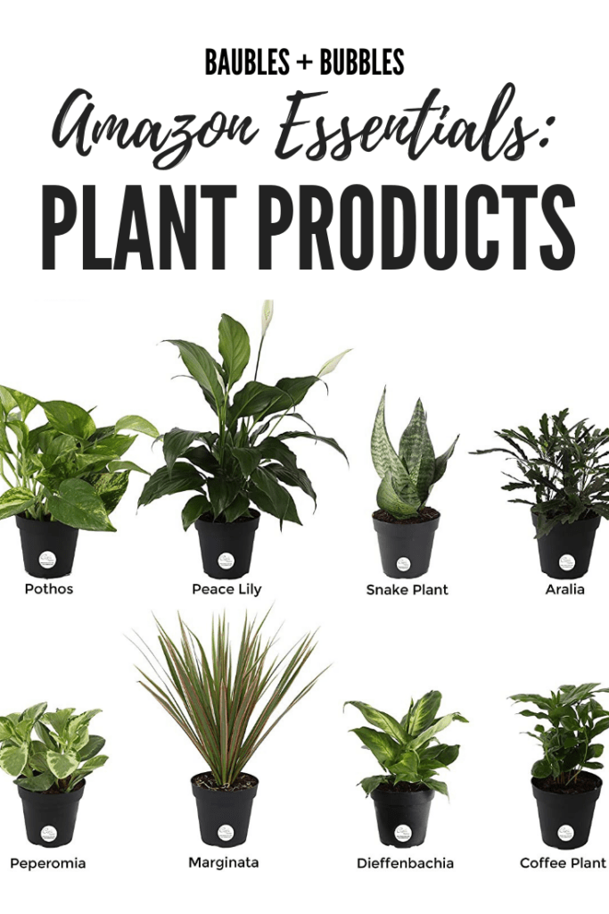 Amazon Essentials Plant Products Baubles + Bubbles