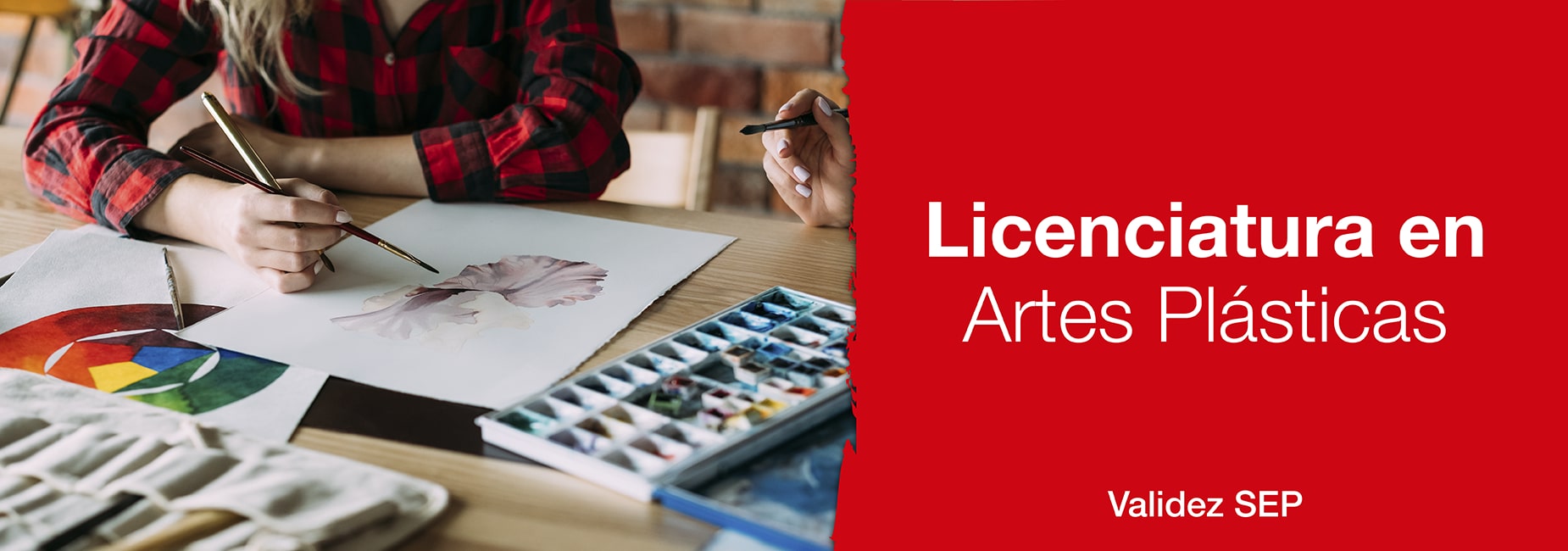 Inicio Universitario Bauhaus