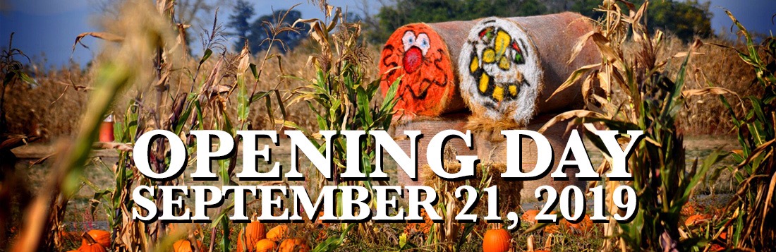 bauman farms harvest festival 2023 Bauman's Harvest Festival Pumpkin Patch Oregon