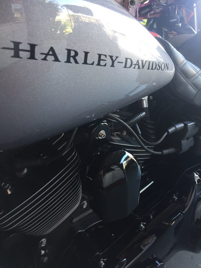 Harley Davidson Gas Tank Decals Set of Two FREE SHIPPING! Baum Customs