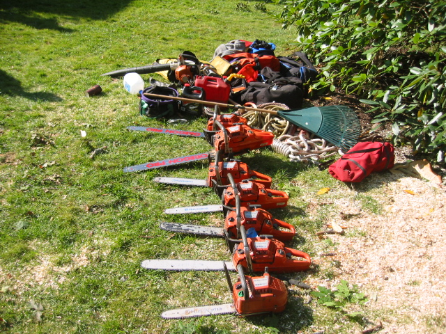 AS-Baum I Motorsägenausbildung - Münchner Baumkletterschule