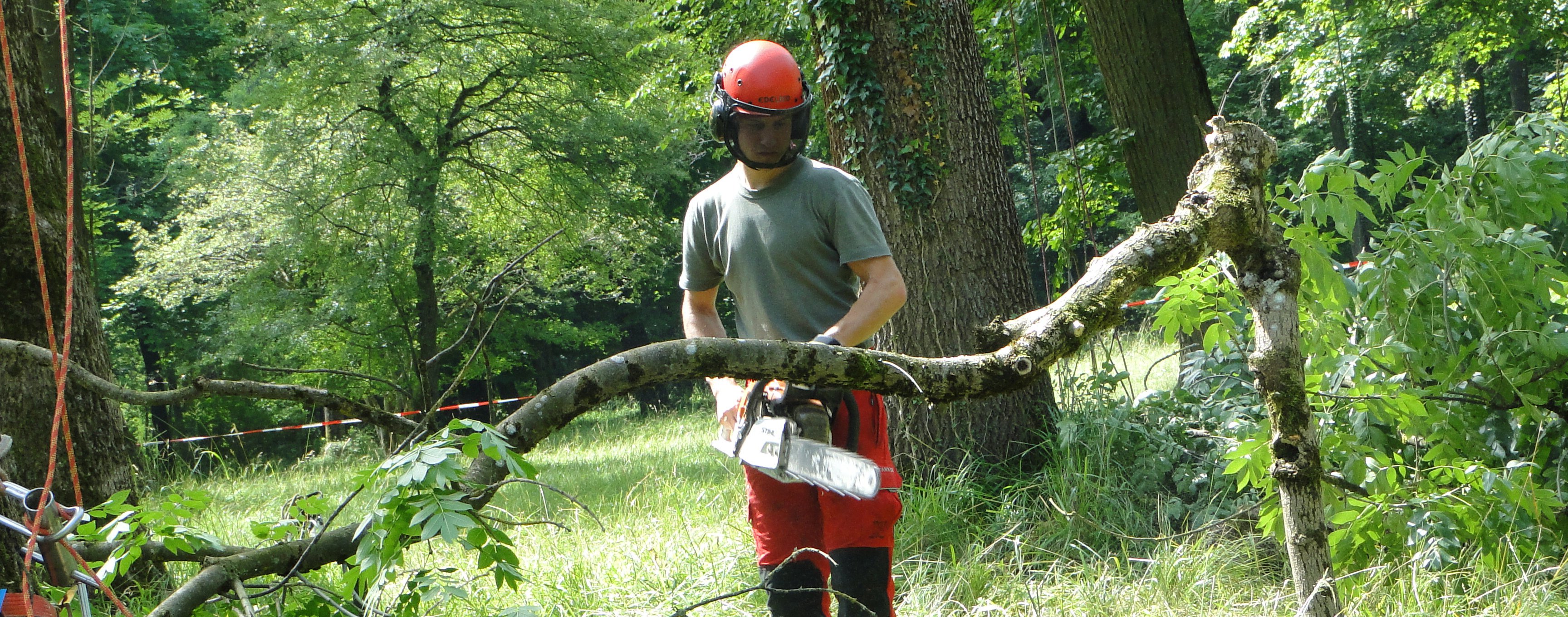 AS-Baum I Motorsägenausbildung - Münchner Baumkletterschule