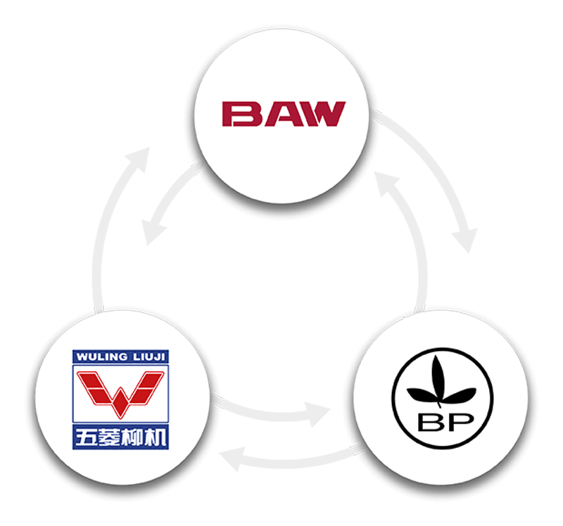 Company BAW International