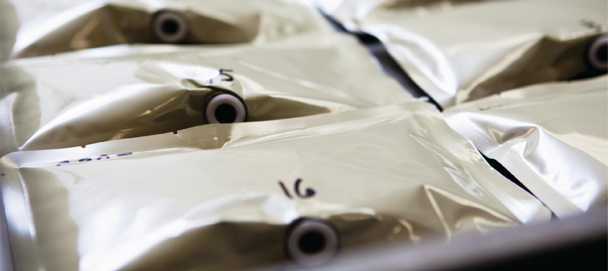 Packaging Options Baxter's North America