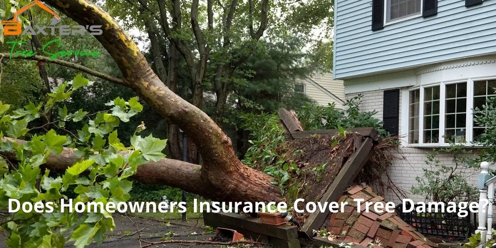 Is Tree Damage Covered By Homeowners Insurance?