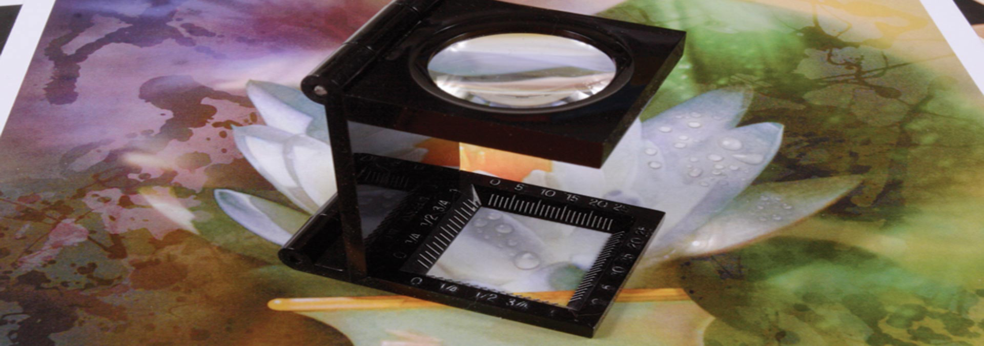 High Quality SheetFed Printing Bayard Printing Group Scranton