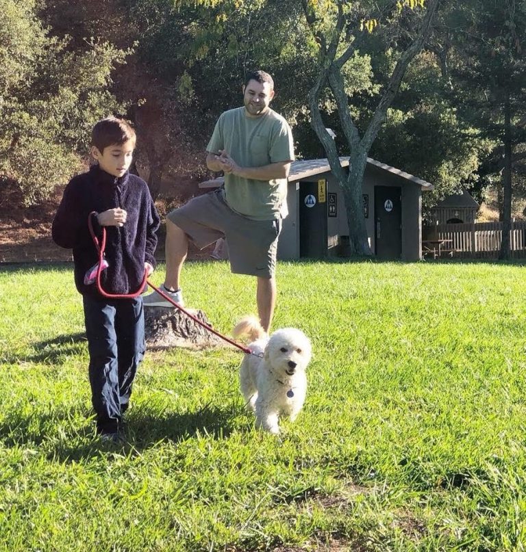 Training Programs Bay Area Balanced Dog Training