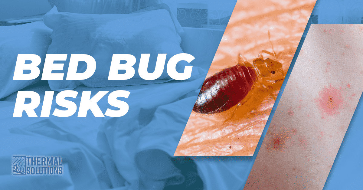 Bed Bug Risks Bay Area Bed Bug Exterminator