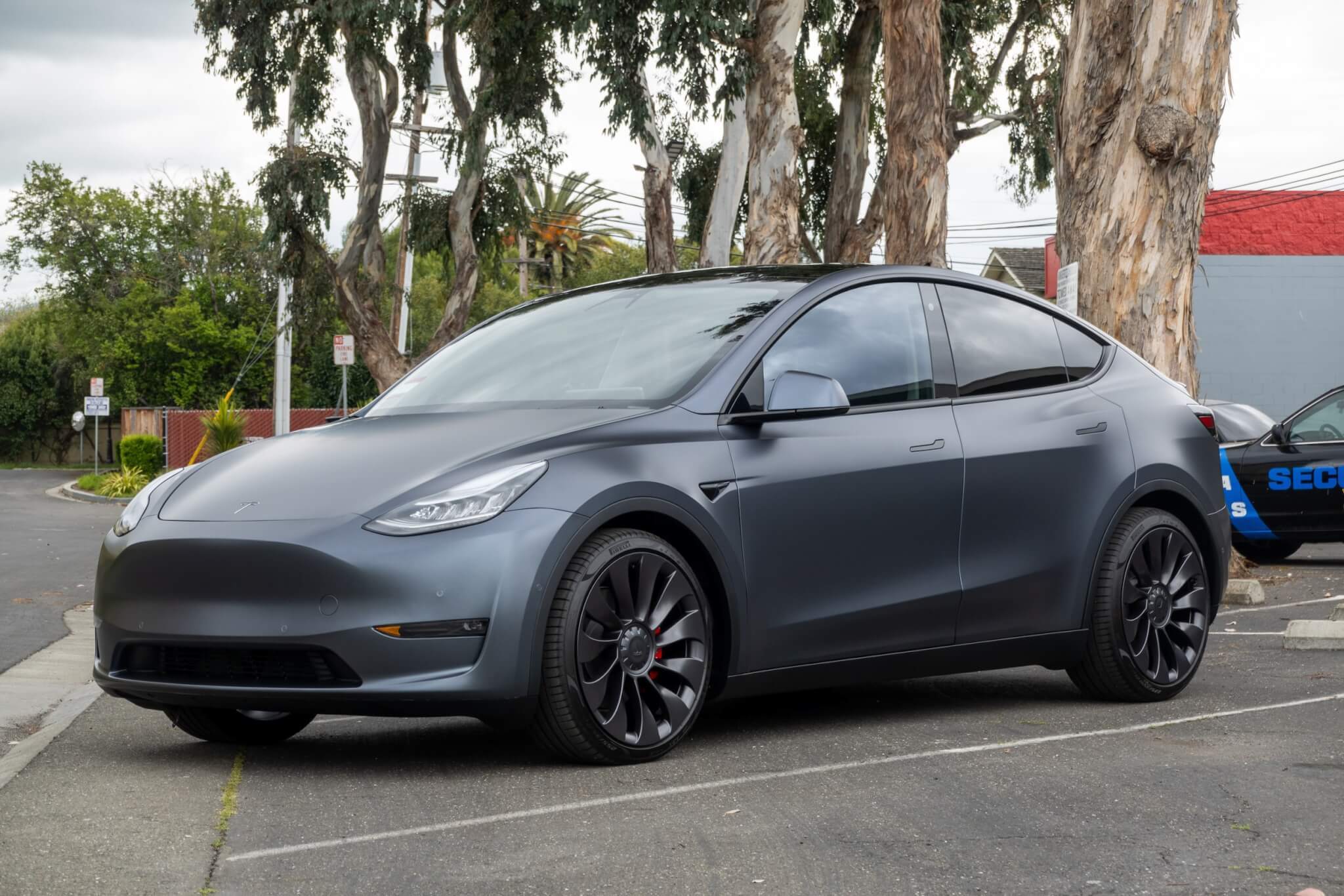 MOST POPULAR XPEL STEALTH TESLA MODEL Y CHOICE ? OCDetailing