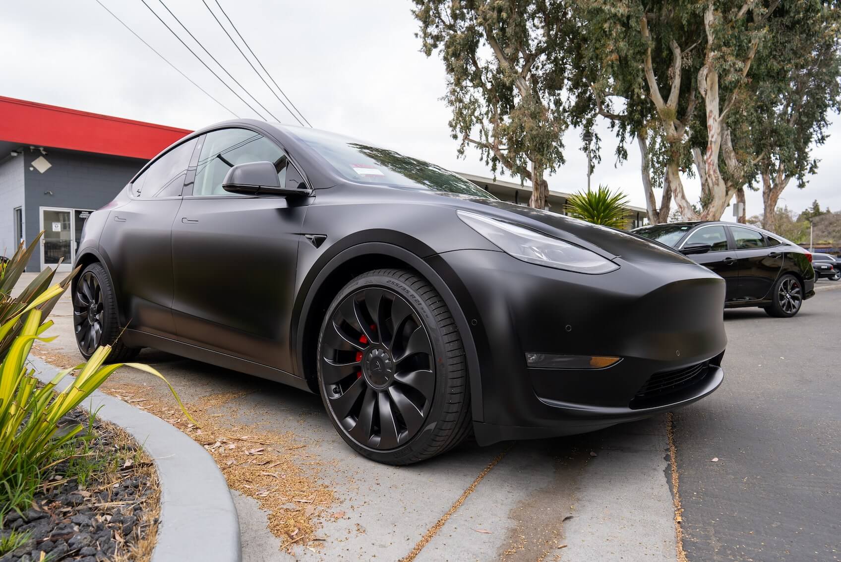 XPEL Stealth Tesla Model Y Solid Black OCDetailing