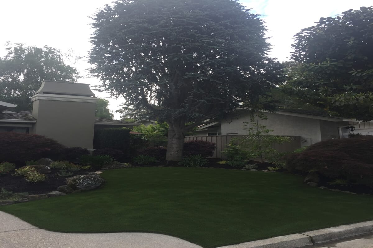 Landscaping Bay Area Greenscapes Moraga, CA