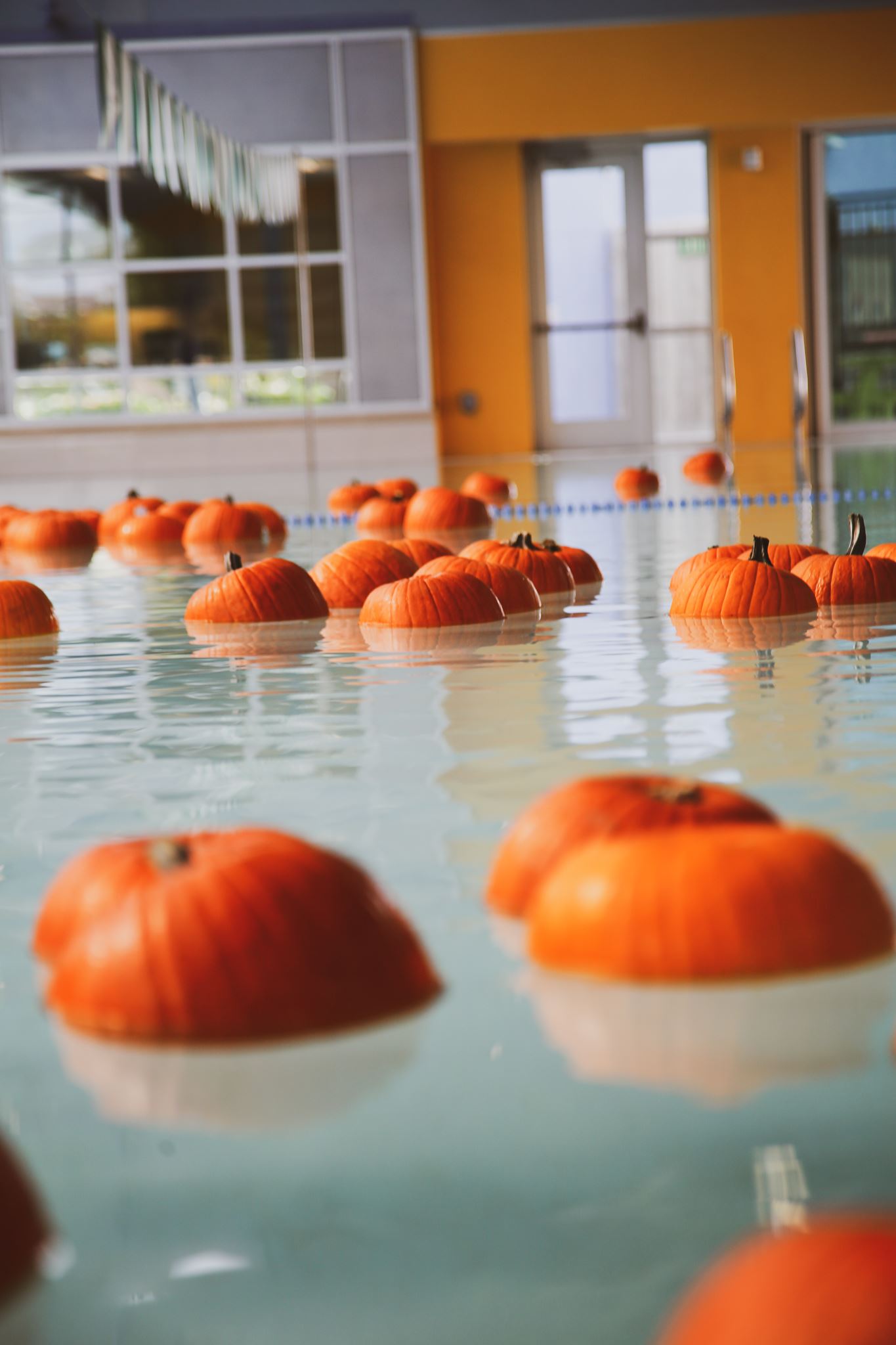Dublin, California is Hosting the Most Creative Pumpkin Patch We've