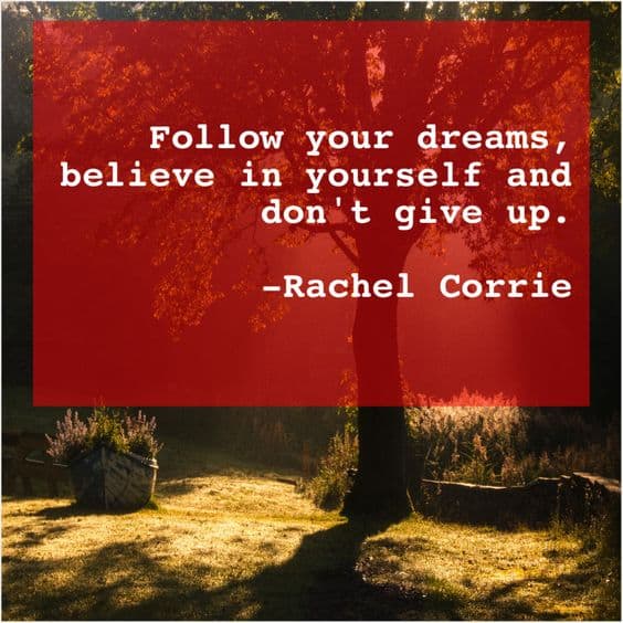 177 SPECIAL WRITING Follow your dreams to make your vision come true