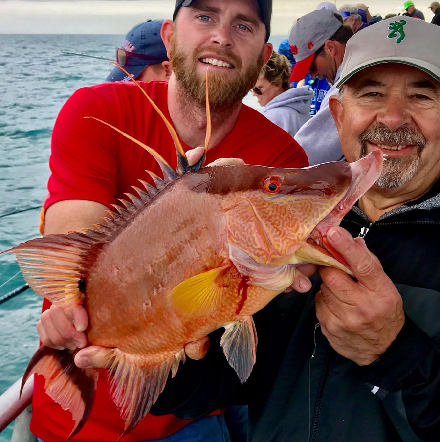 Hogfish Action Remains the Big Story BayBite