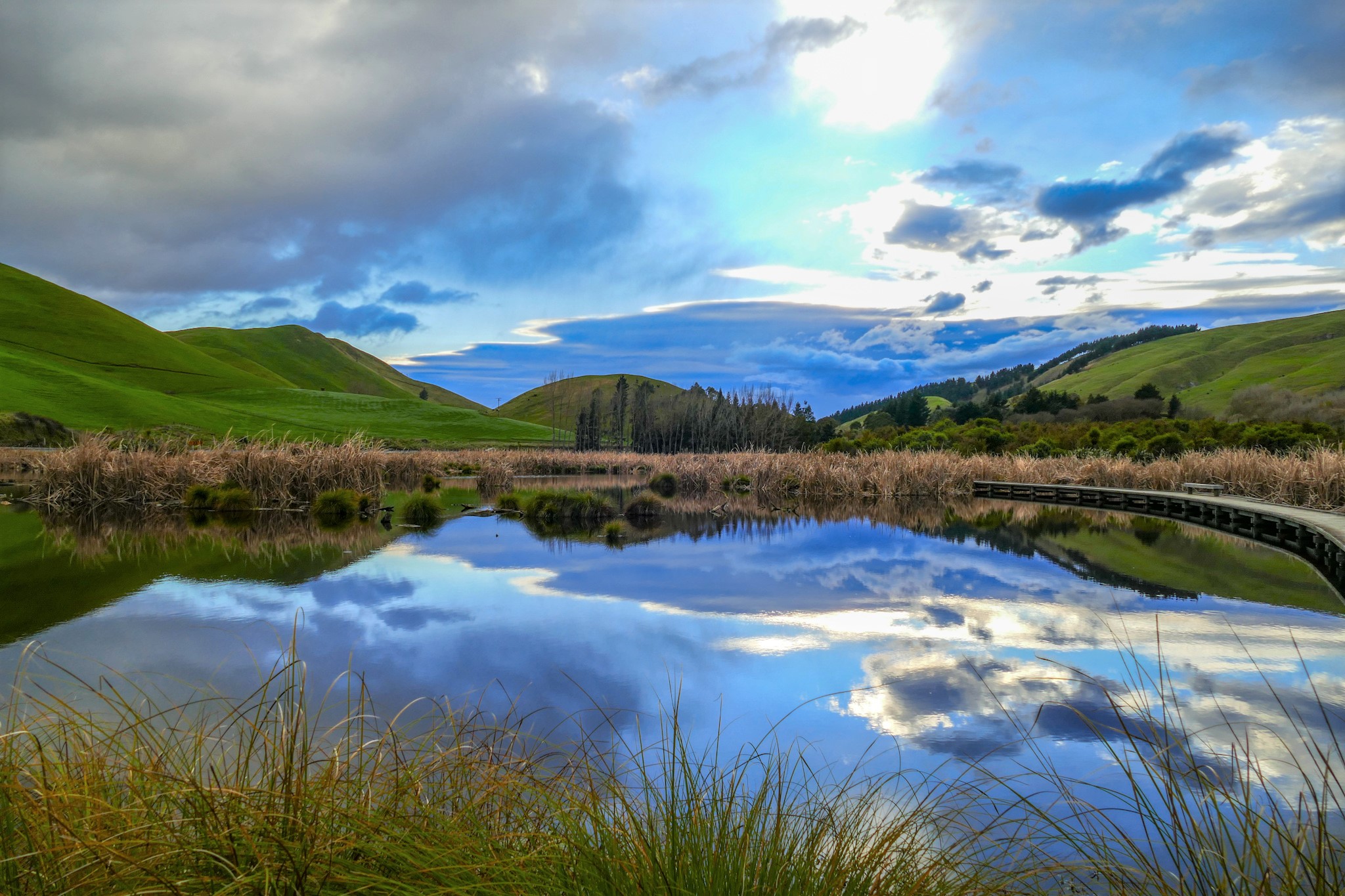 HB Walkabout Pekapeka Regional Park BayBuzz