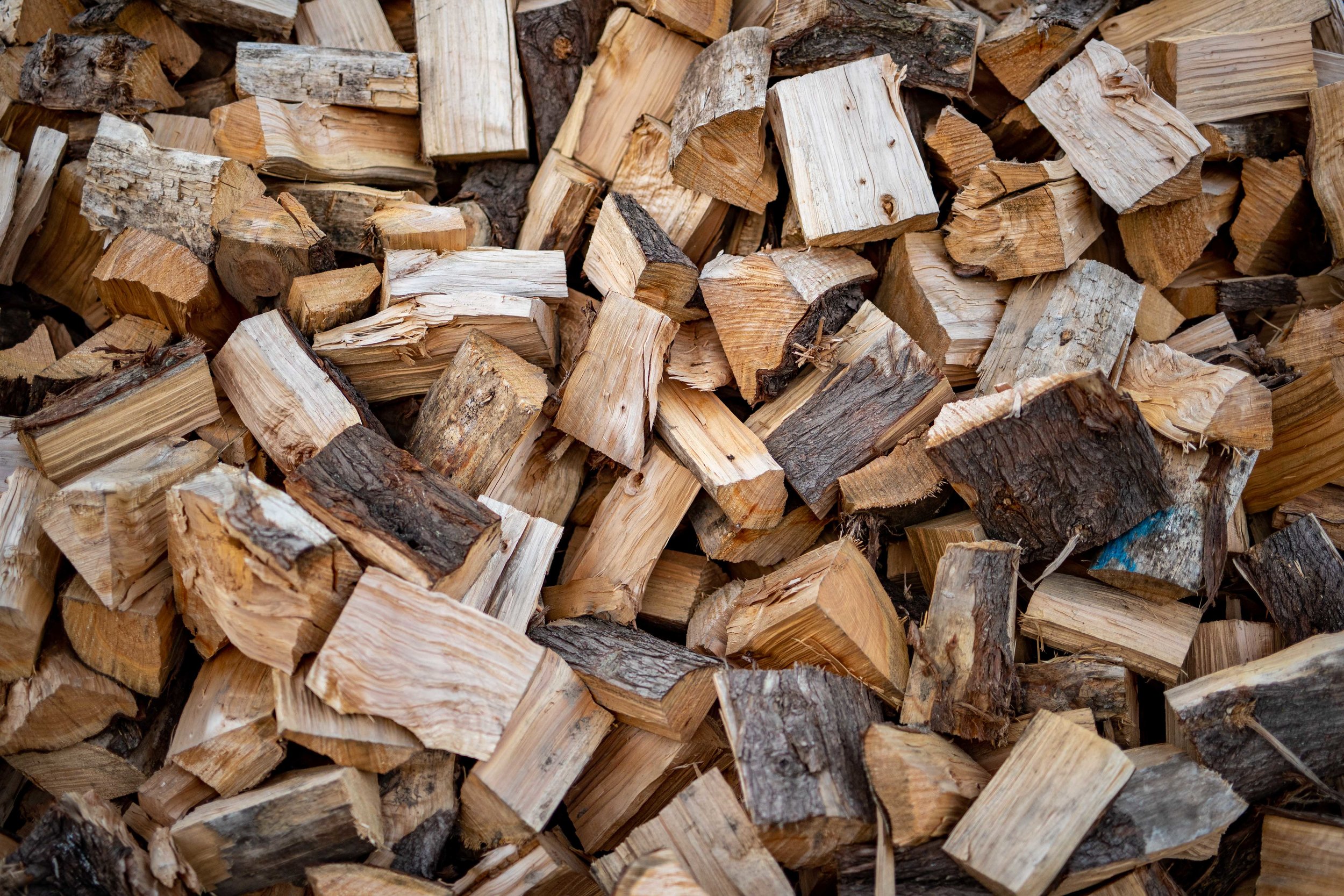 Get your wood … dry! BayBuzz