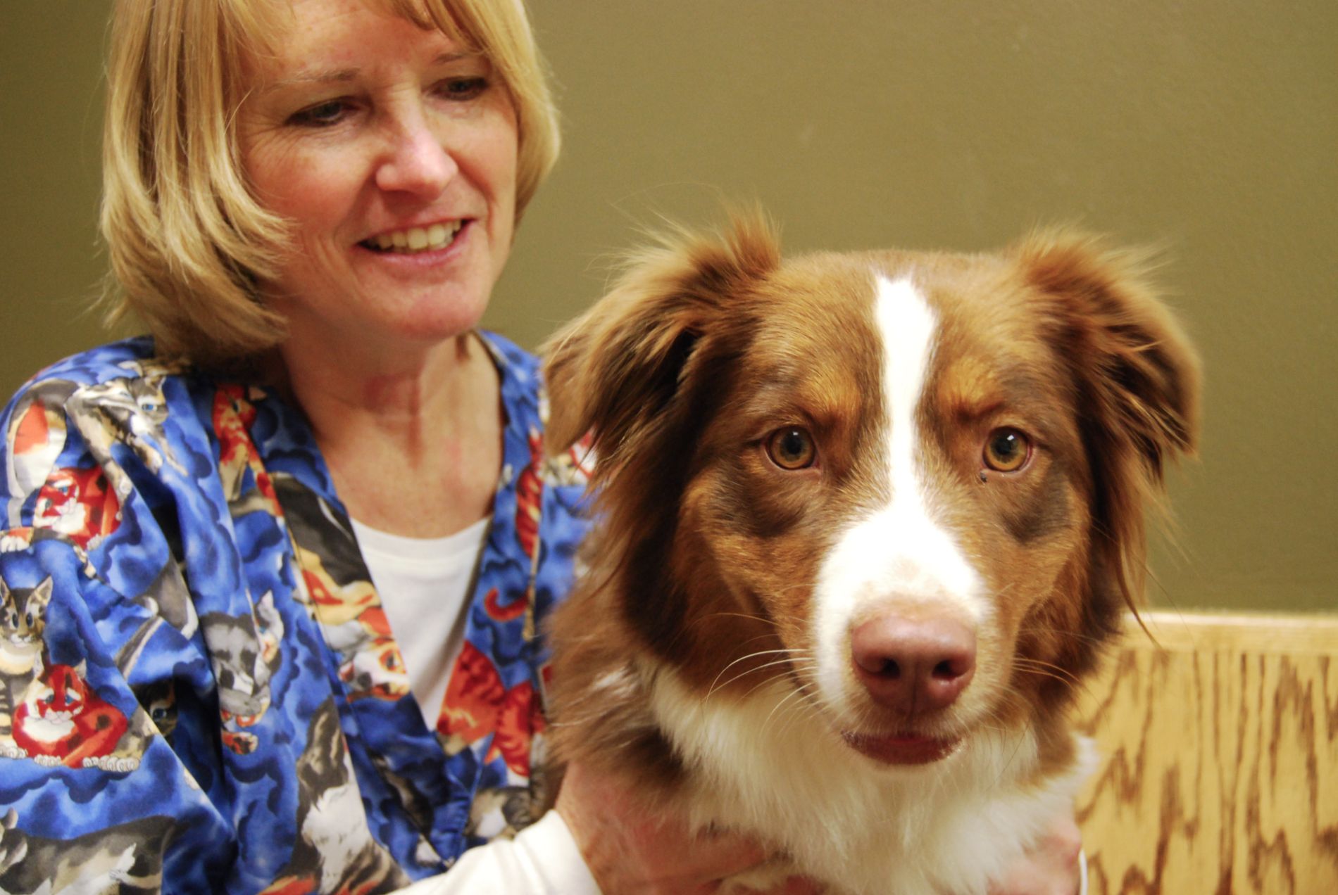 Veterinarian in Green Bay, WI 54311 Bay East Animal Hospital