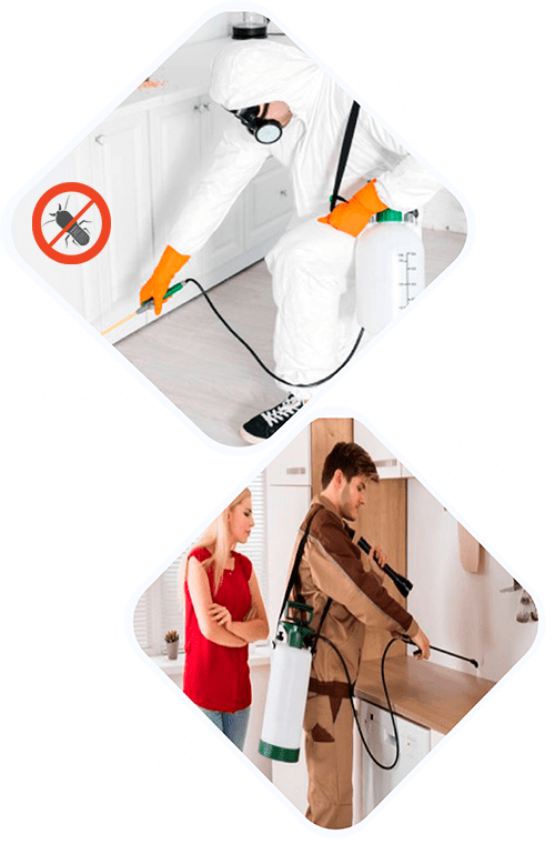 Residential Pest Control Bay Exterminator