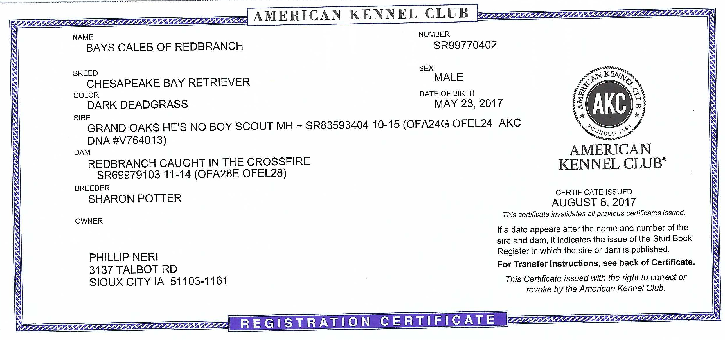 Studs Bay Kennels Sioux City