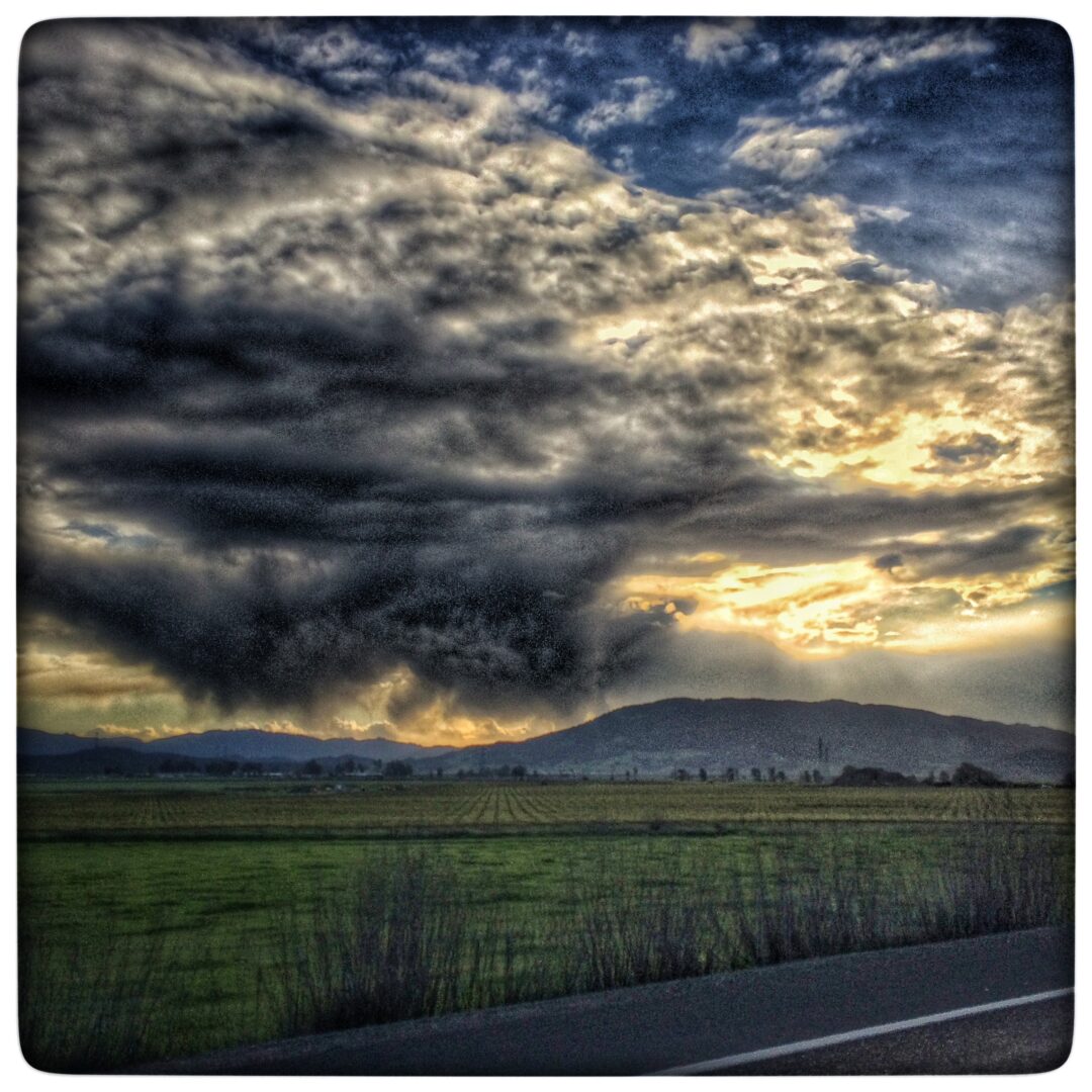 springtime weather north Marin county Bay Laurel Culinary