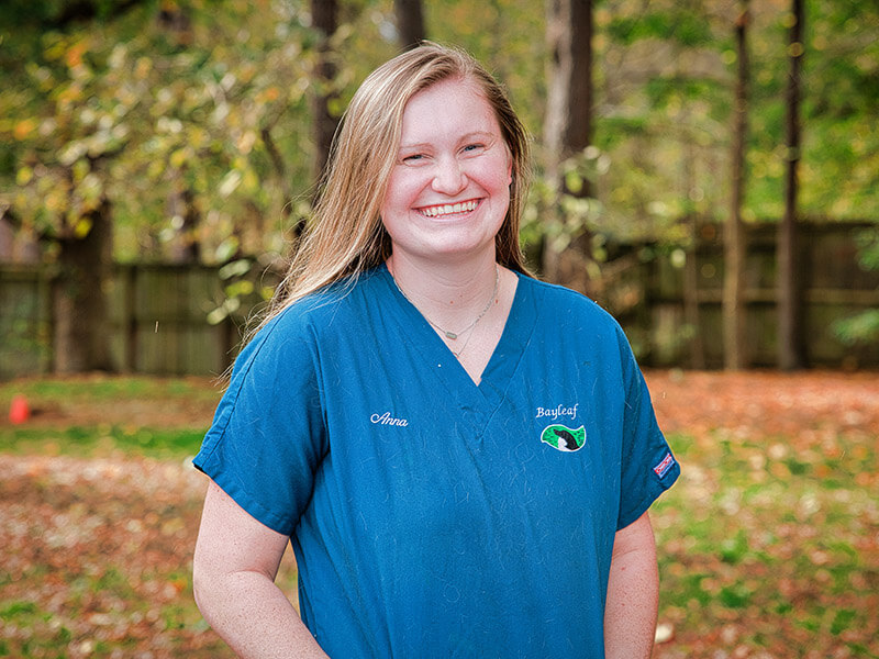 Support Staff Bayleaf Veterinary Care