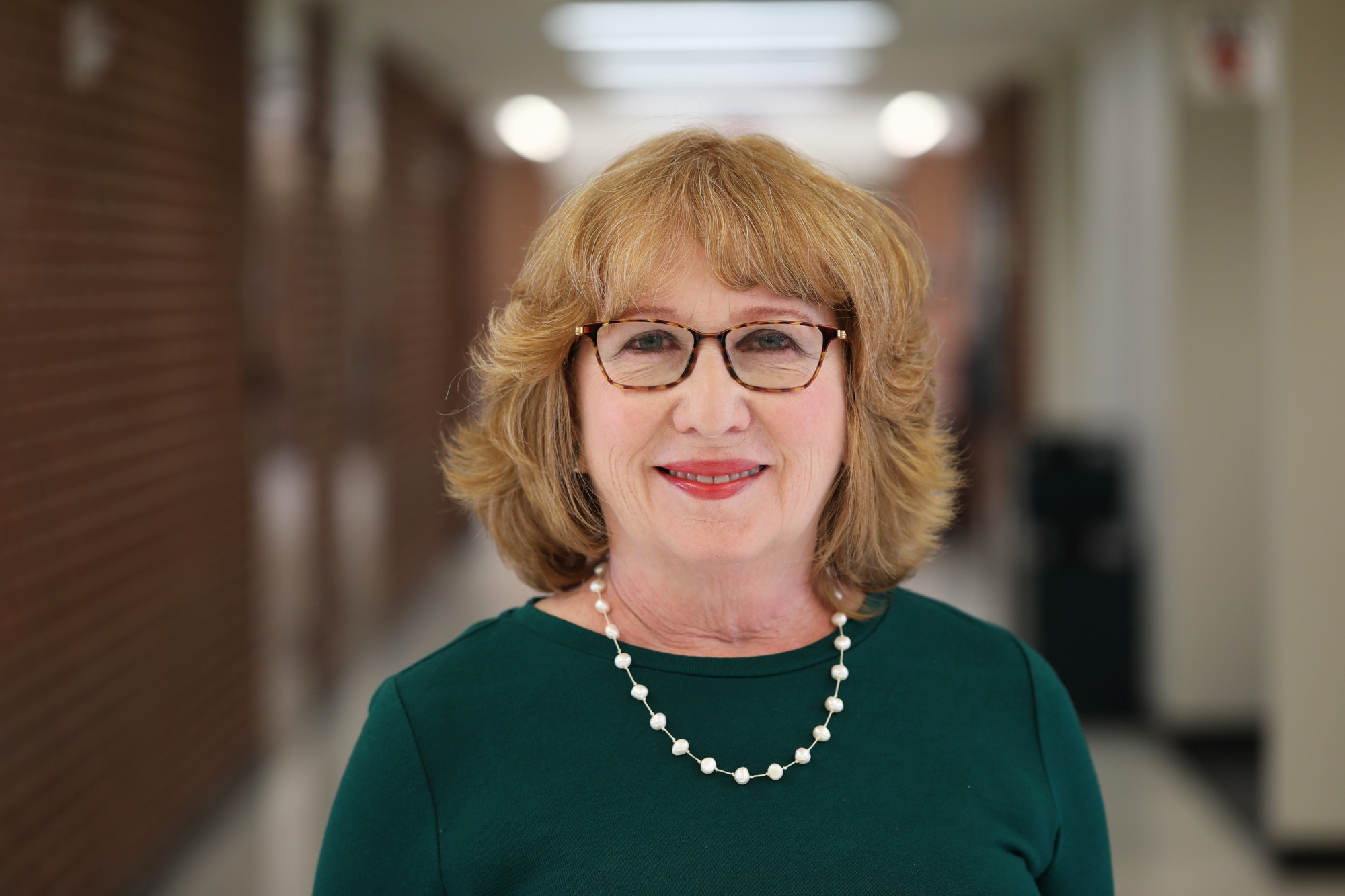 ‘Social studies teachers are fighting for our democracy right now