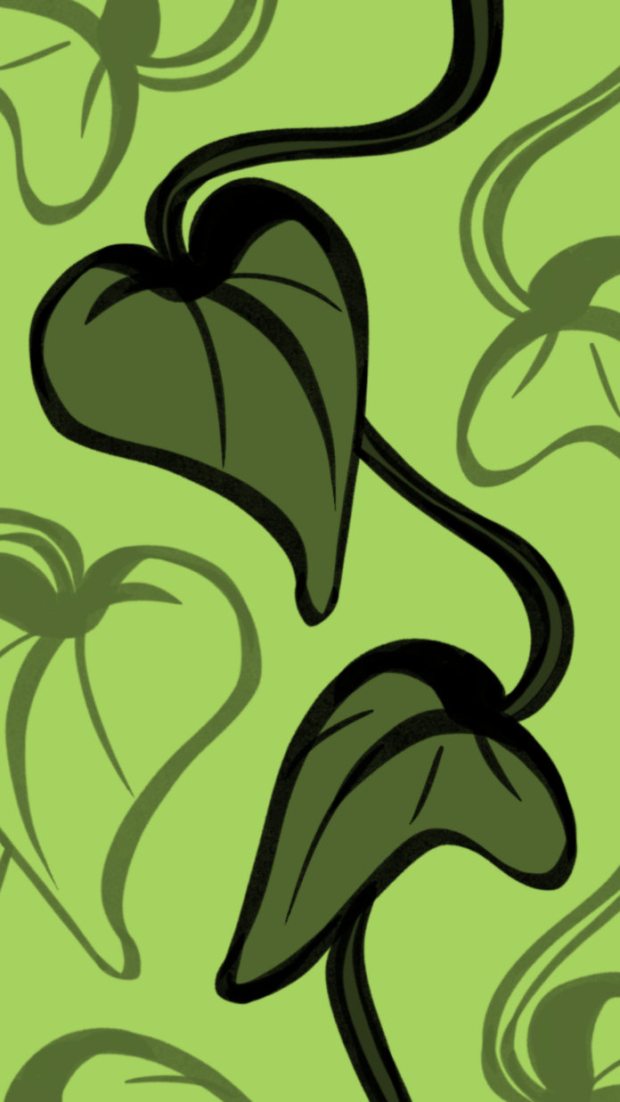 What your dorm room decor says about you The Baylor Lariat