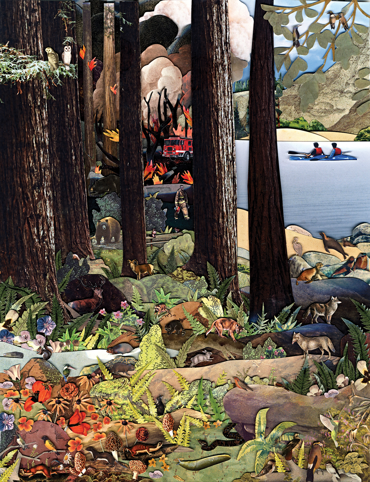 What Does It Really Mean To Live With Fire In California? - Bay Nature