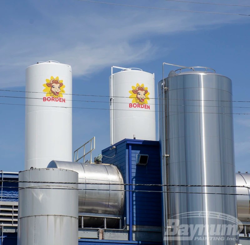 Borden Dairy Baynum Solutions