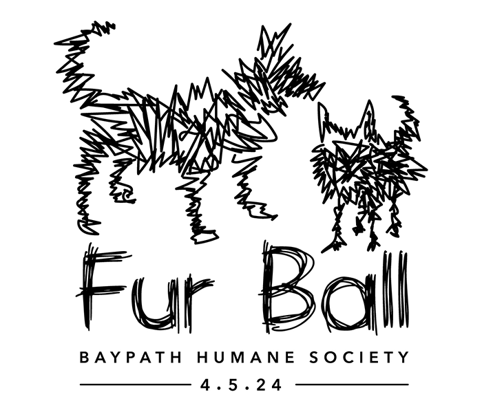 Fur Ball Baypath Humane Society of Hopkinton