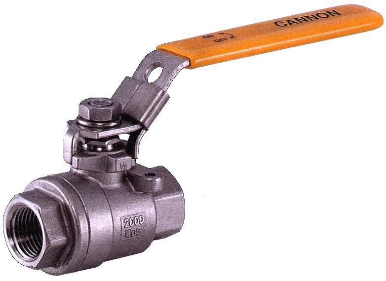 cannon ball valves carbon stainless ss s.s. steel threaded sw s.w