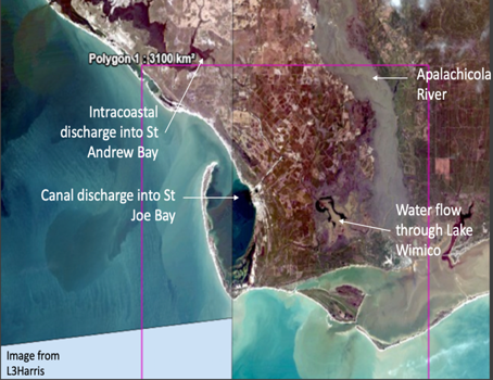 Our Story | Baysavers