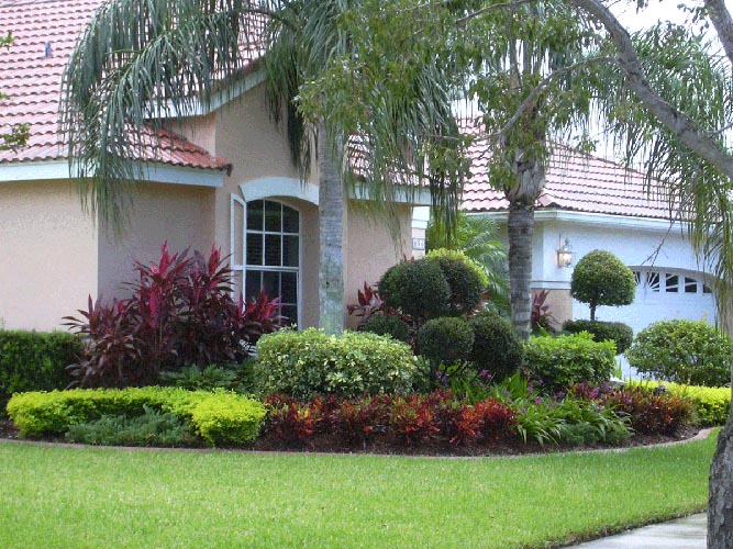 Bayscapes Landscape Design Tampa, FL