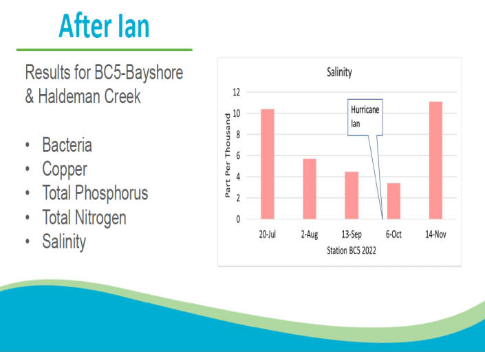Haldeman Creek Water Quality Bayshore Gateway Triangle CRA