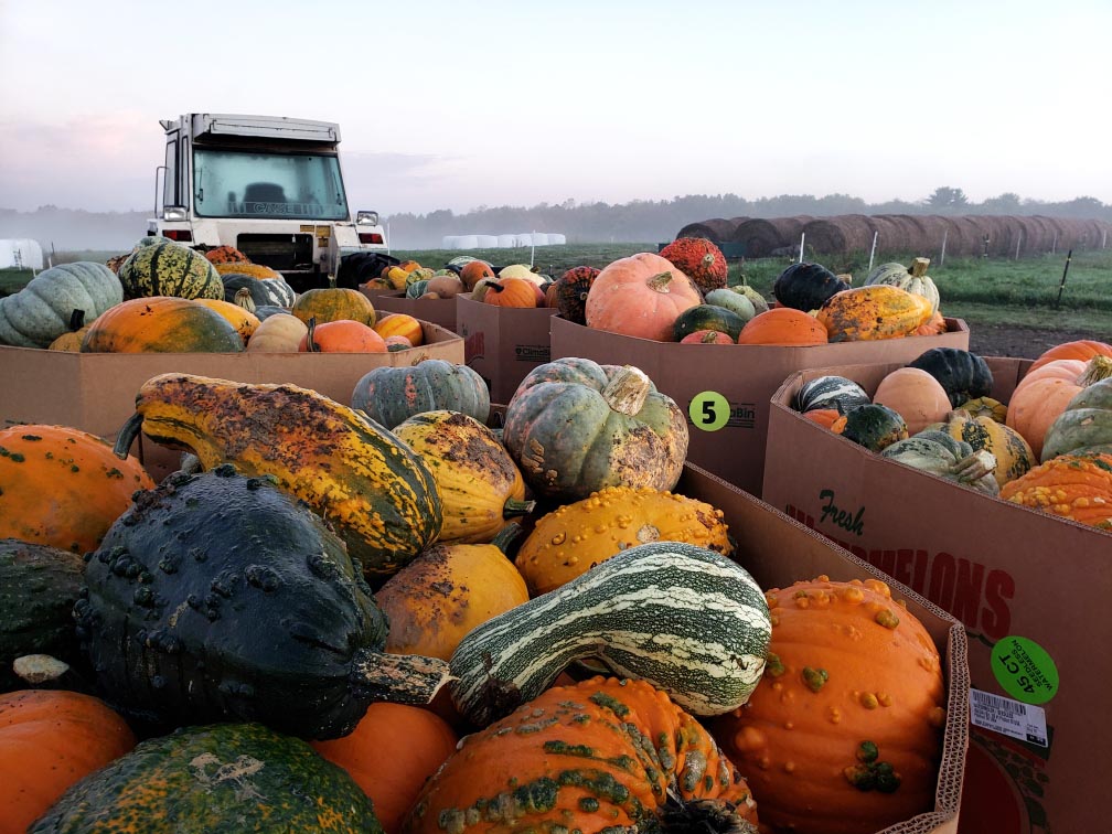 FALL AT THE FARM! Bay Tree Farm
