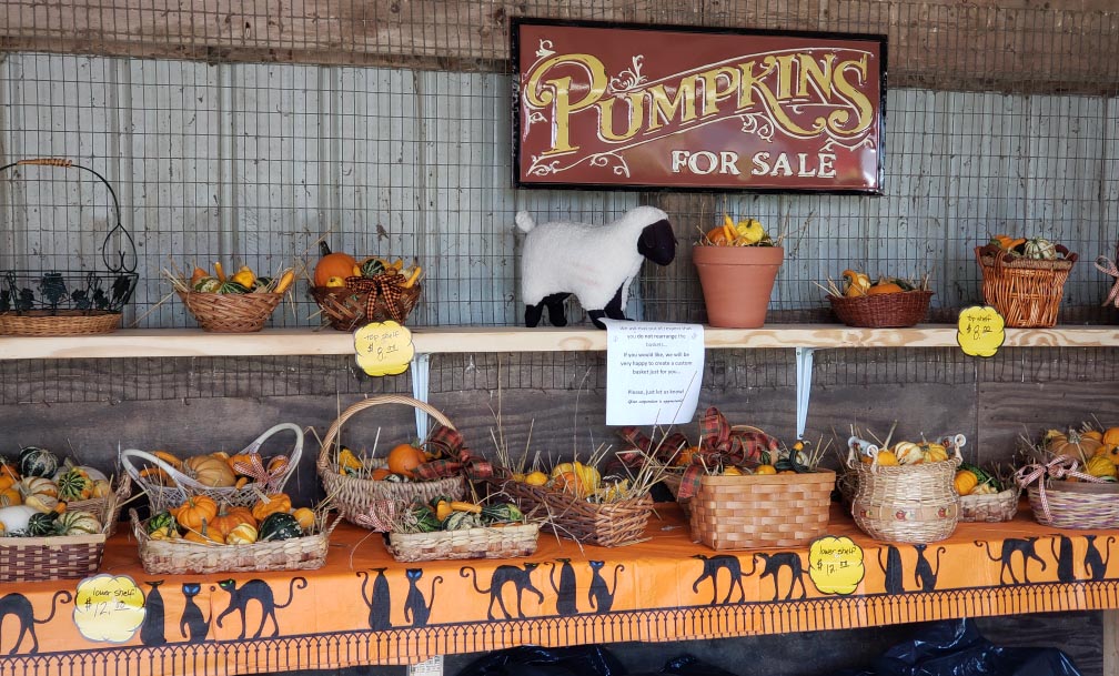 Bay Tree Farm 180 acre farm north of Emlenton