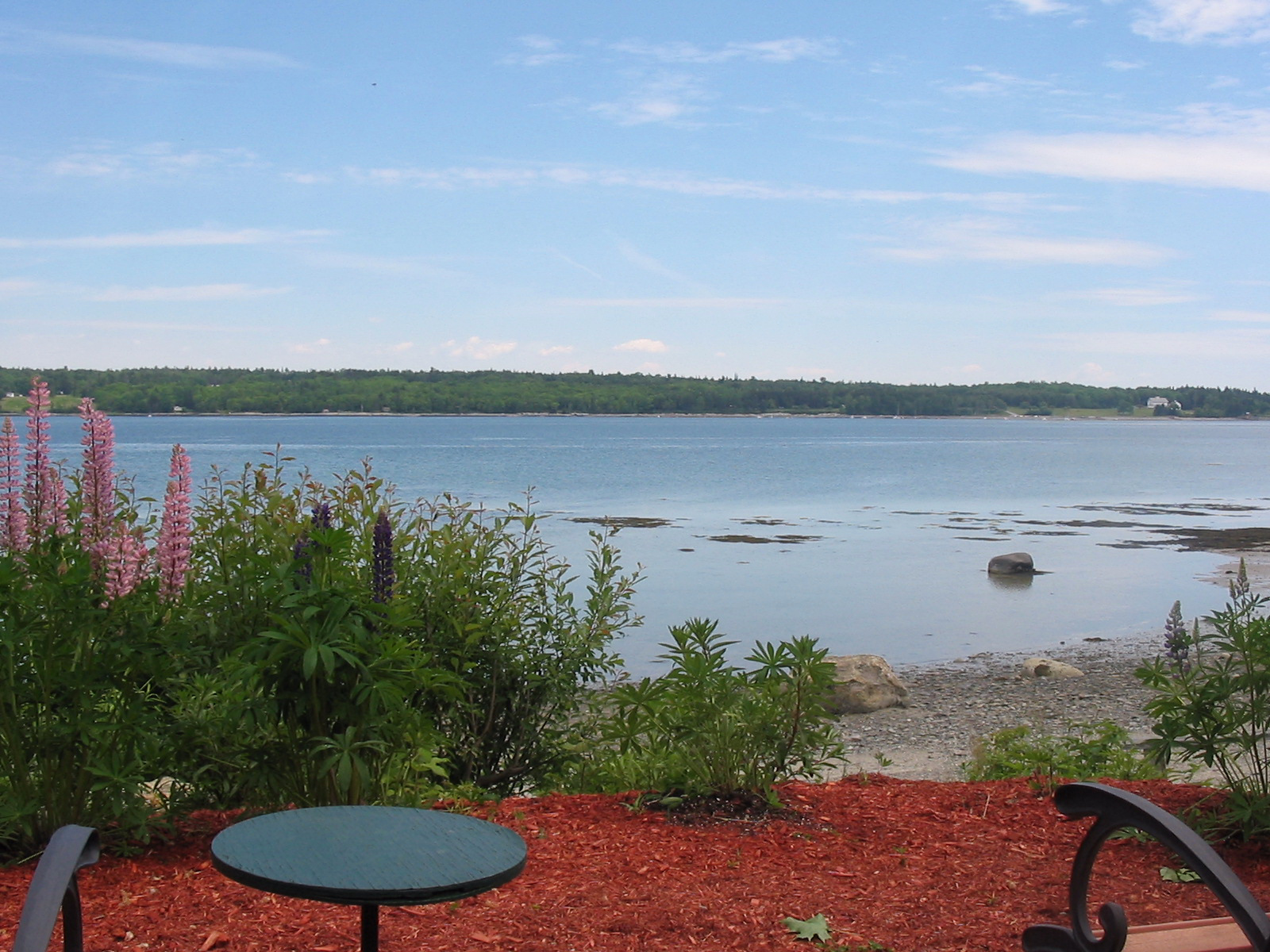 HarpHawkins Vacation Homes Cottage Bar Harbor Vacation Rentals